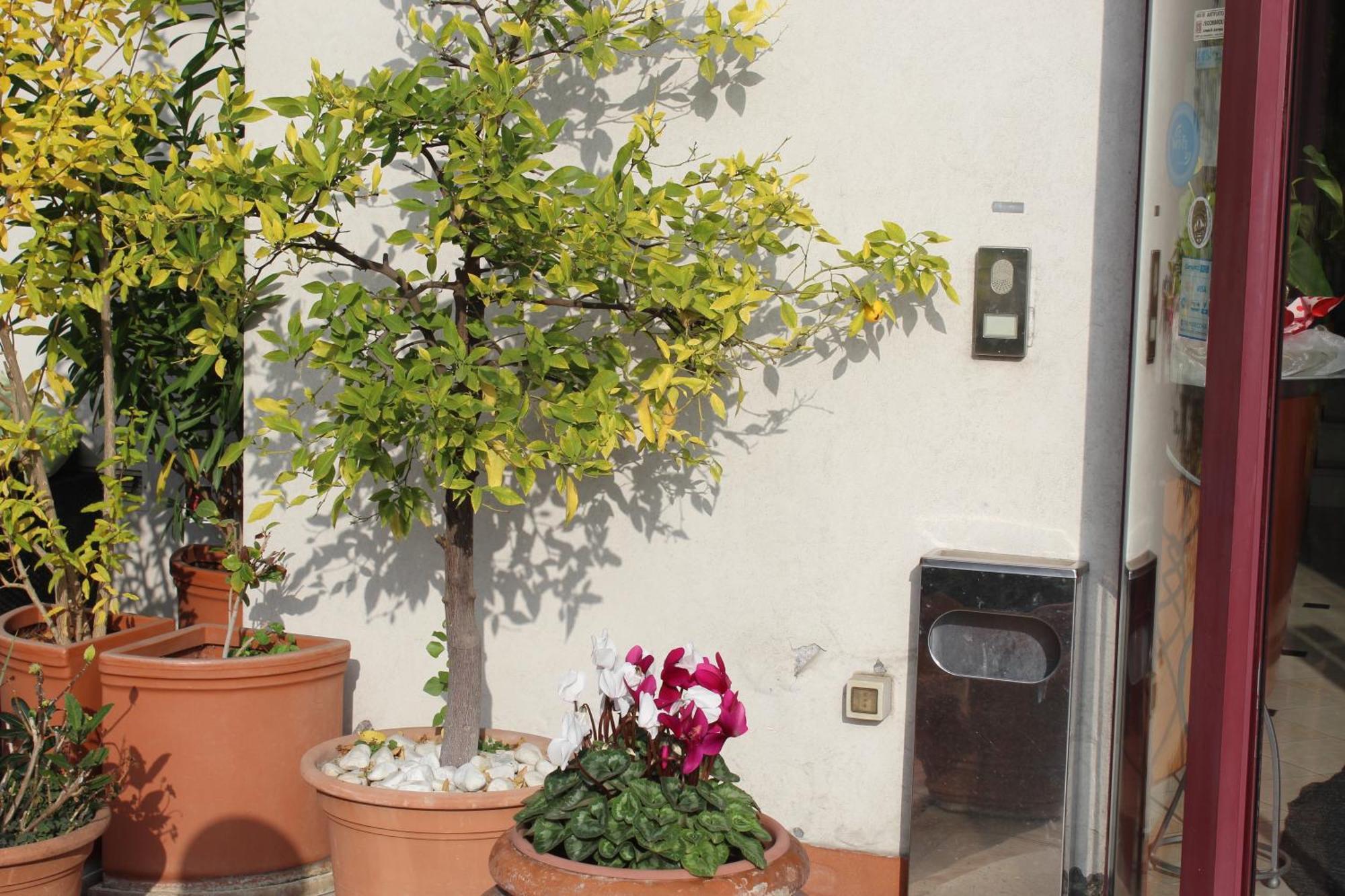 Arcangelo Roof Hotel Rimini Eksteriør billede